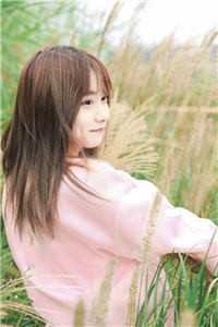胭月舒月侧妃无删减全文