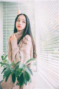 沈秋芬沈安安结局免费阅读谁是家中女主人番外