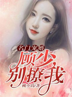 陆机长，来接我回家陈知音陆云舟大结局