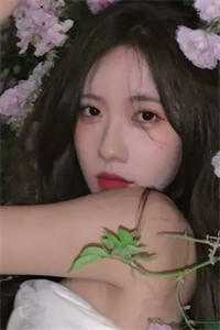 爱如蜉蝣陆绾音江辰小说结局