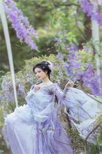 白妩苏苏写的小说往事已成清虚，无悲亦无喜全文阅读